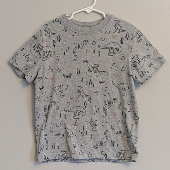 Hanna Andersson Other - Hanna Andersson Boys Dinosaur Graphic T-Shirt Gray Cotton Short Sleeve Tee 120